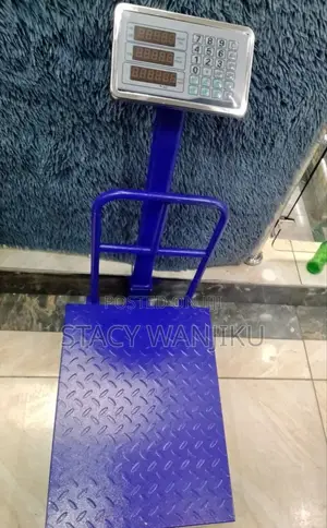 300kgs Digital Weighing Scale/ Weighing Scale