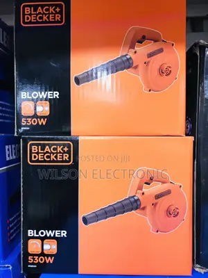 Black $ Decker Blower