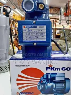 New Pedrollo Water Pump Pkm60/ 0.5hp Pedrollo Water Pump