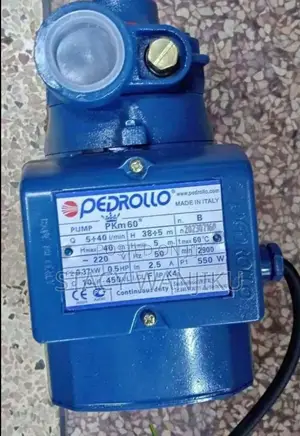 0.5hp Pedrollo Water Pump Pkm60/ 0.5hp Pedrollo Water Pump