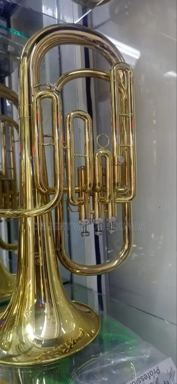 Yamaha Baritone - main view