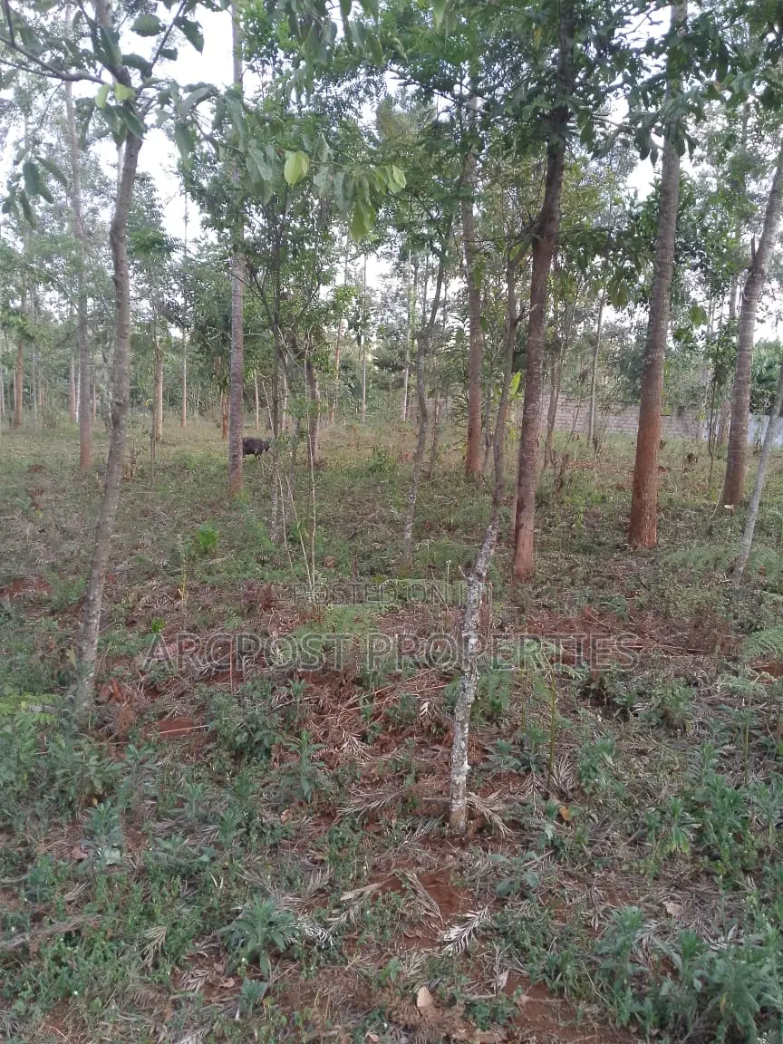 50x100 Plot for Sale, 500 Meters From Gikumene, Meru