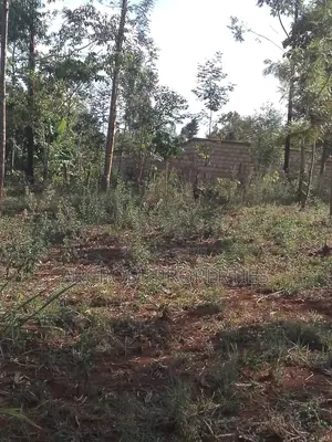 50x100 Plot for Sale, 500 Meters From Gikumene, Meru