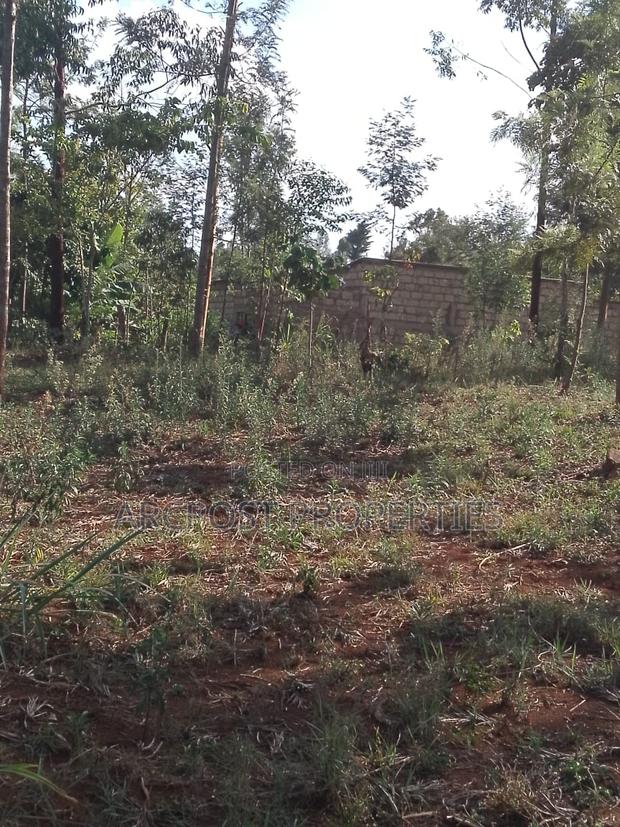 50x100 Plot for Sale, 500 Meters From Gikumene, Meru - thumbnail 2