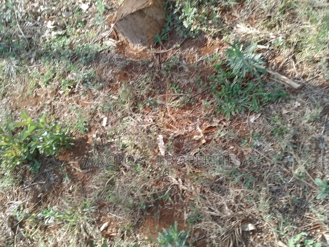 50x100 Plot for Sale, 500 Meters From Gikumene, Meru