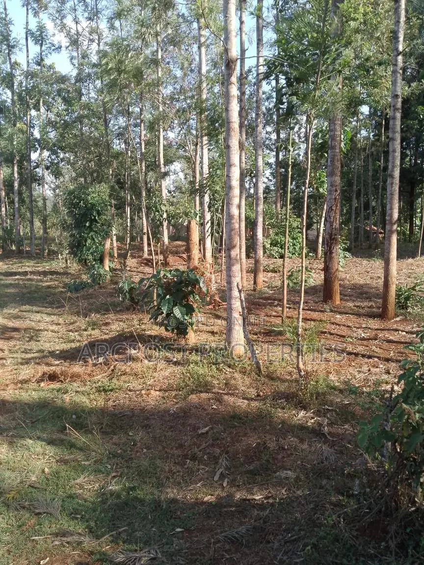 50x100 Plot for Sale, 500 Meters From Gikumene, Meru