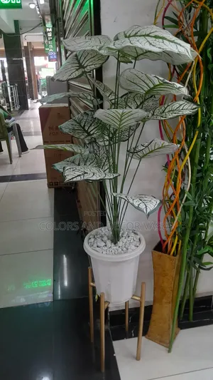 Gold Stand, Vase Plastic and Plant