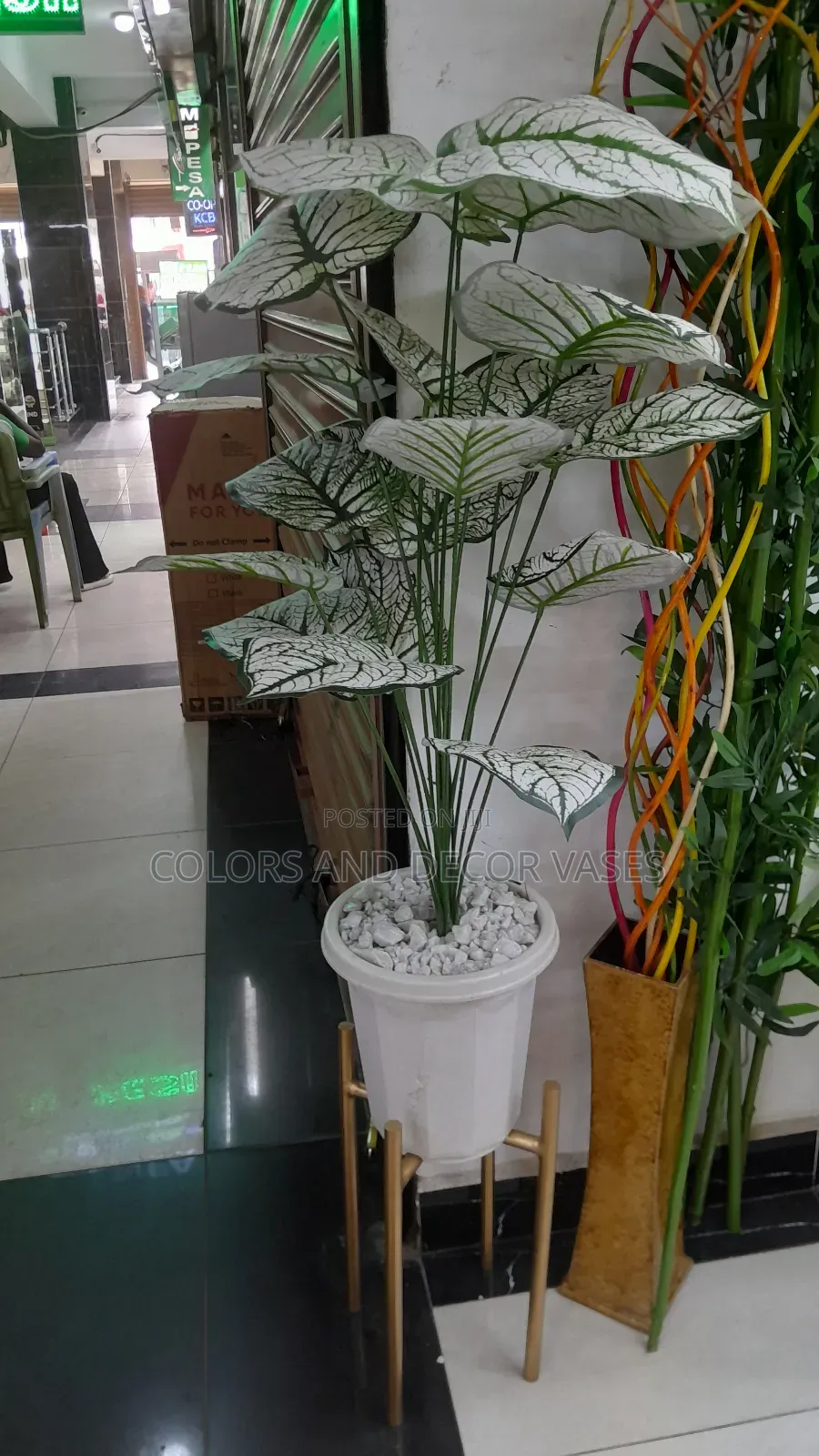 Gold Stand, Vase Plastic and Plant