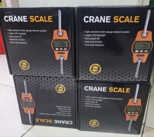 300kg Crane Scales