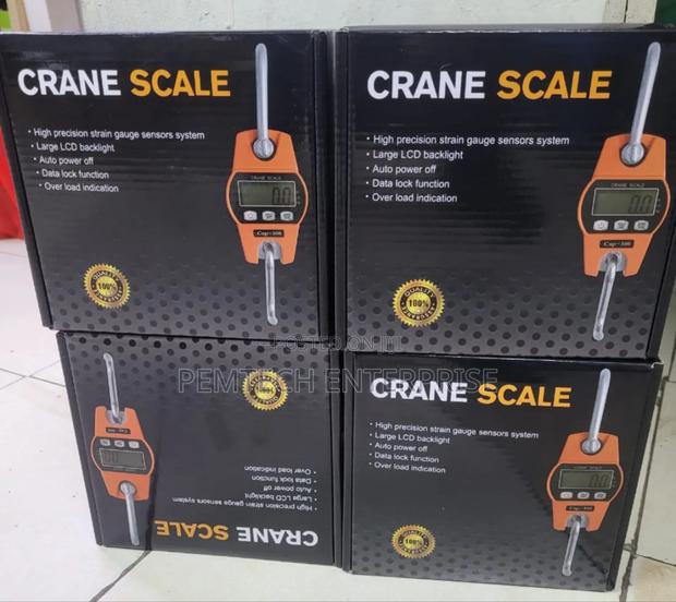 300kg Crane Scales - main view