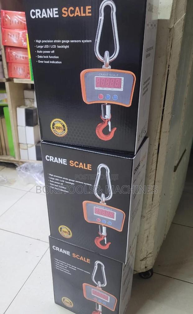 300 Kg Hanging Scale - main view