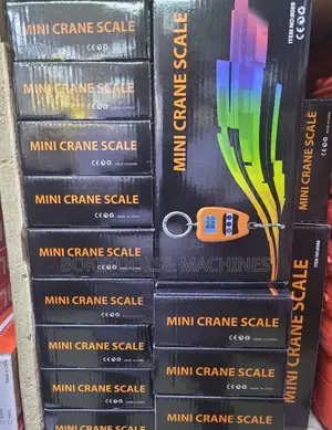 500 Kg Hanging Mini Scale
