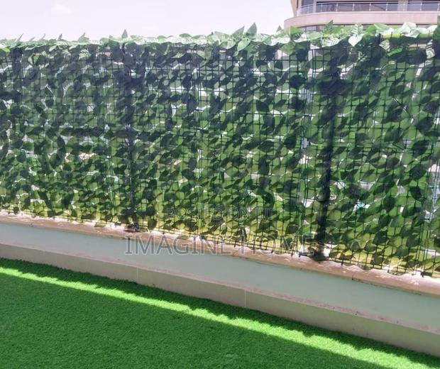 Green Fences Green Grass Dark/Light Fence Home Decor