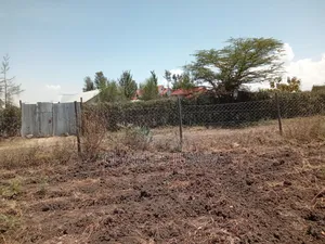100*100 Plot in New Valley.