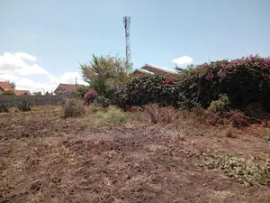 100*100 Plot in New Valley.