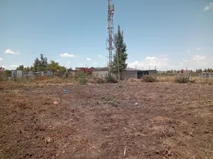 100*100 Plot in New Valley.