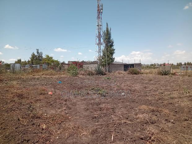 100*100 Plot in New Valley. - thumbnail 6