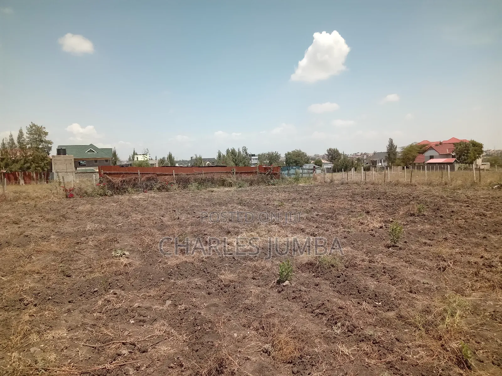 100*100 Plot in New Valley.
