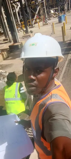 In Search of Job