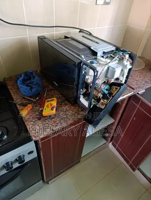 Microwave Magnetron Replacement