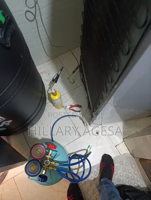Double Door Fridge Gas Refill