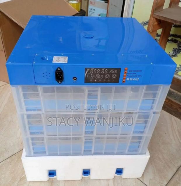 256 Eggs Incubator Machine/ Automatic AC DC Eggs Incubator