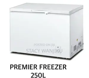 250l Premier Freezer Machine/ Deep Freezer Machine 250l