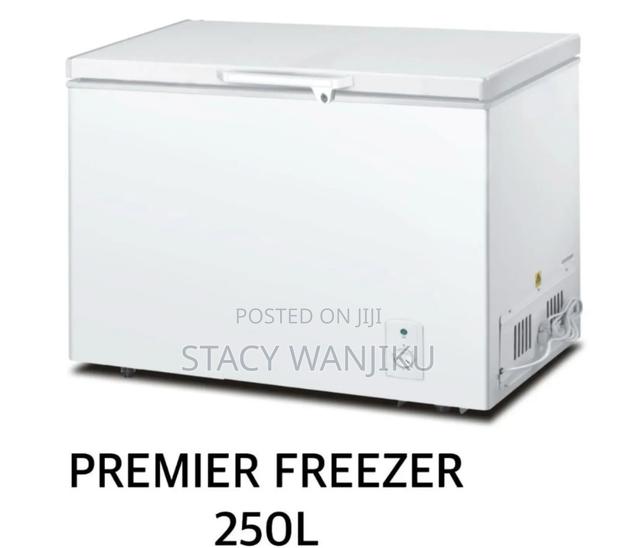 250l Premier Freezer Machine/ Deep Freezer Machine 250l