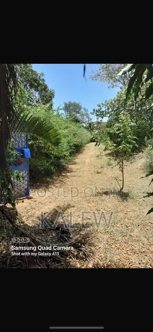 Prime Freehold Plot At Bofa For Sale