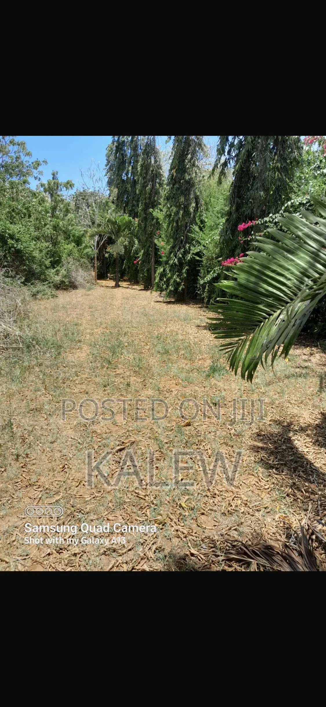 Prime Freehold Plot At Bofa For Sale