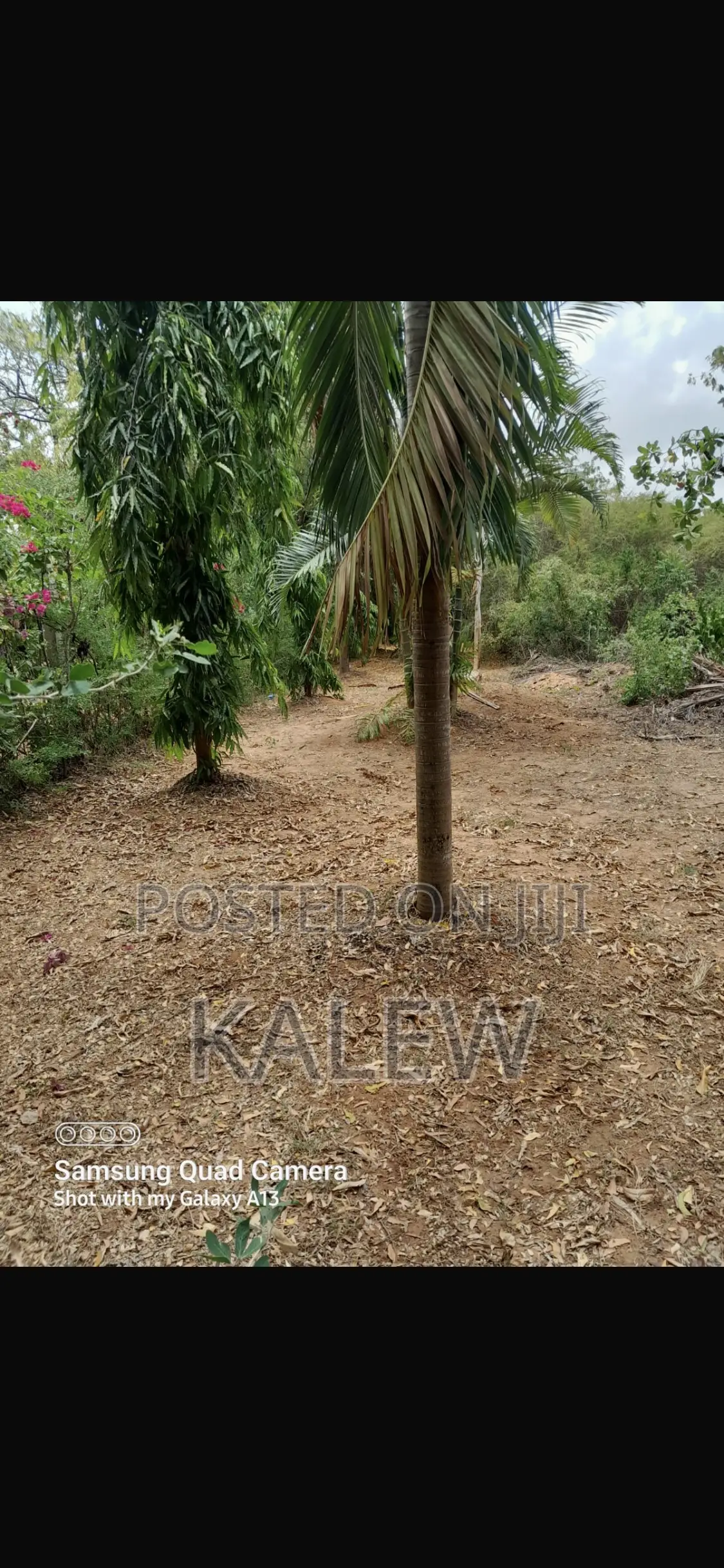 Prime Freehold Plot At Bofa For Sale