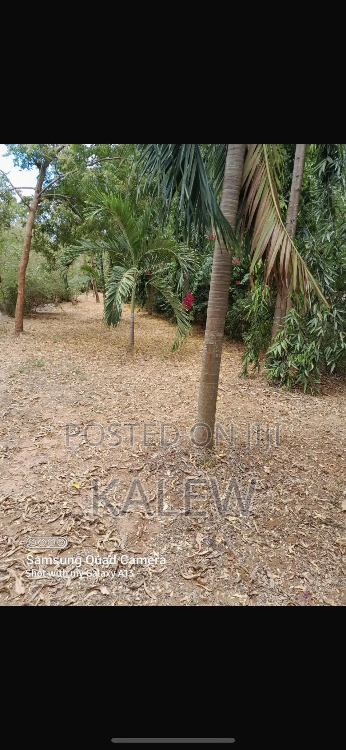 Prime Freehold Plot At Bofa For Sale