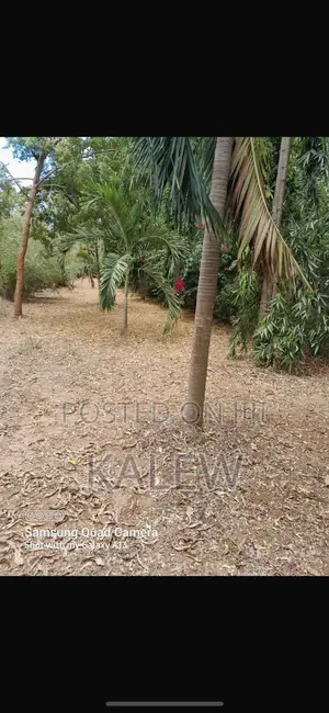 Prime Freehold Plot At Bofa For Sale