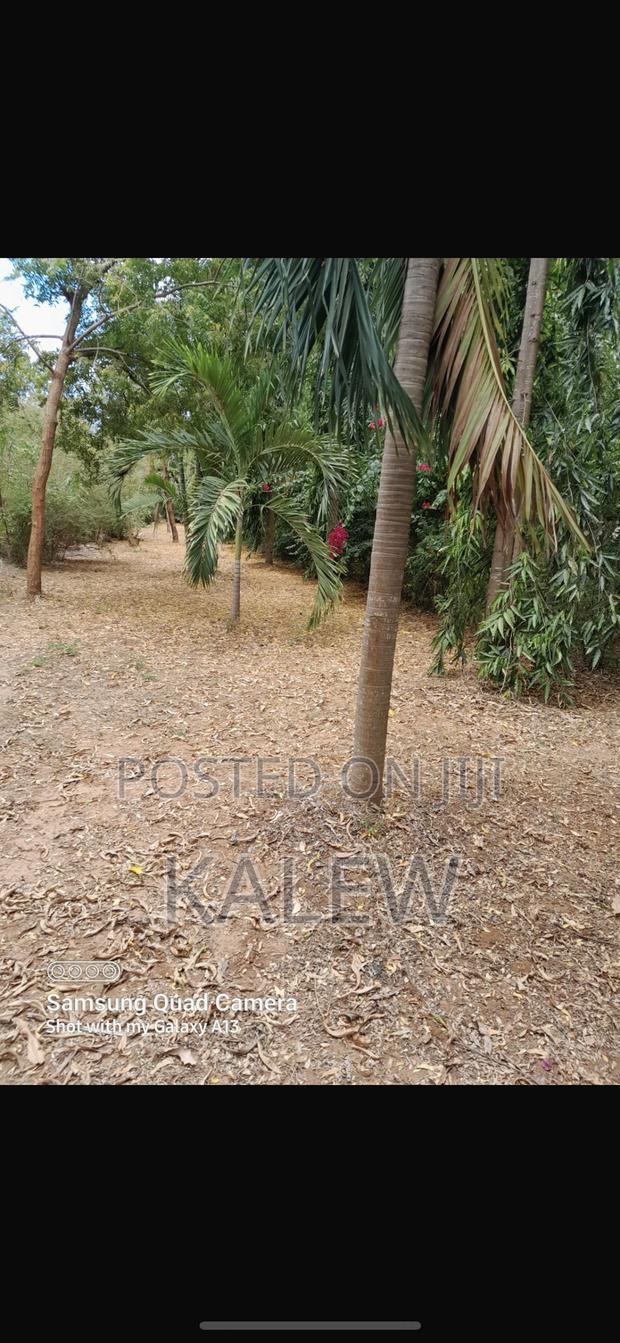 Prime Freehold Plot At Bofa For Sale - thumbnail 4