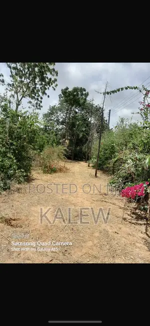 Prime Freehold Plot At Bofa For Sale