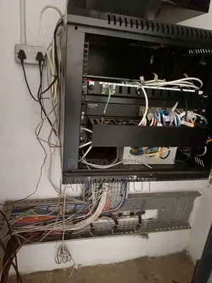 Starlink Installation And Tv Mounting