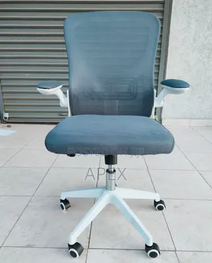 Adjustable Arms Office Chair.