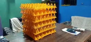 Chicken Eggs Plastic Trays - 30pcs