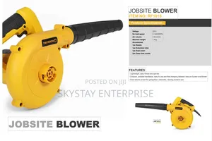 Air Blower 500W 2in1