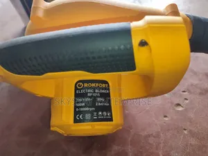 Air Blower 500W 2in1