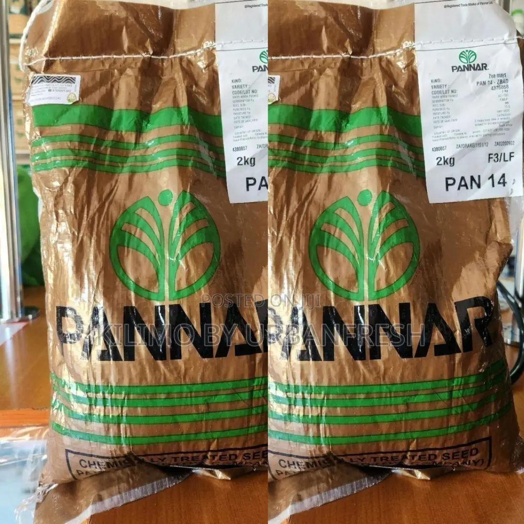 Pan 14- Yellow Maize Seeds 2kgs
