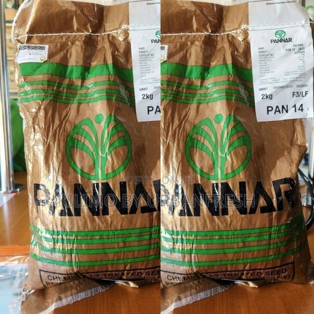 Pan 14- Yellow Maize Seeds 2kgs