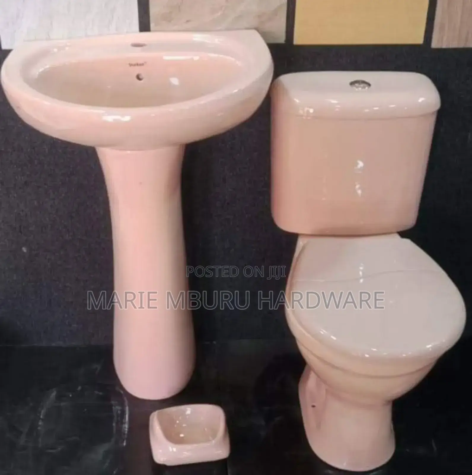 Pink Toilet
