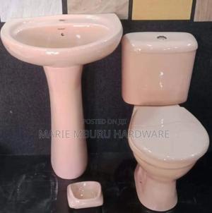 Pink Toilet - thumbnail 2