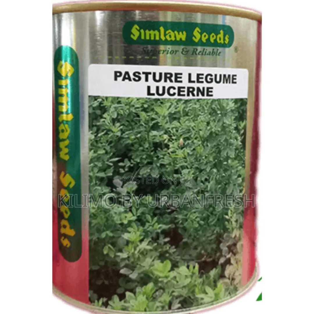 Pasture Legume Seed 250g