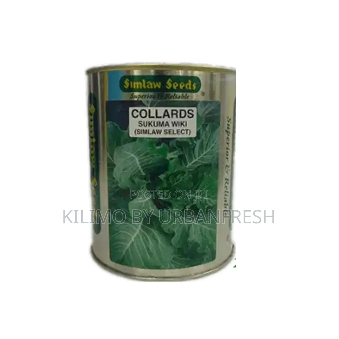 Collards (Simlaw Select) Seeds 250g