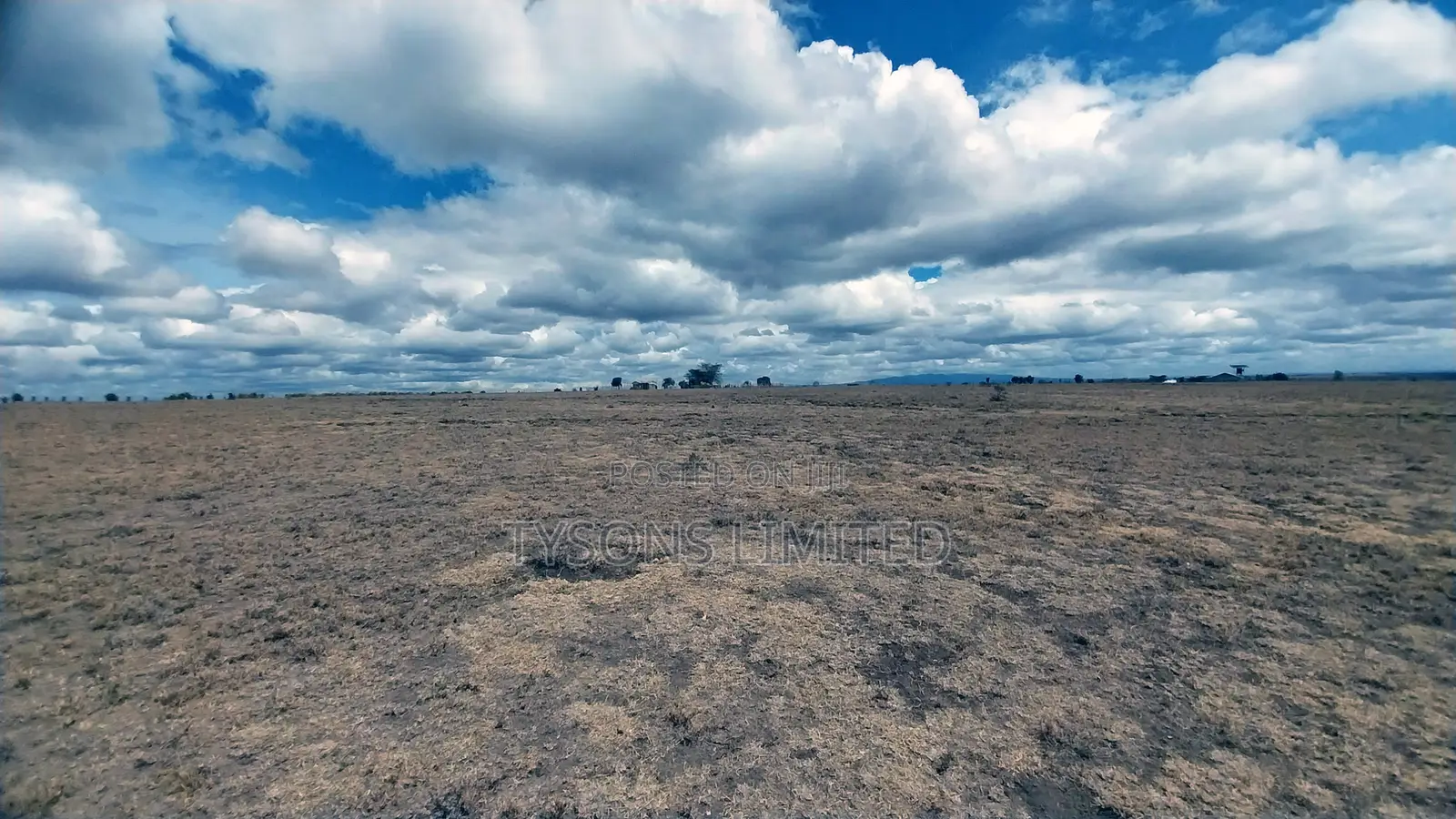 Quarter Acre Plots for Sale in Oloika,Kitengela