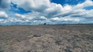 Quarter Acre Plots for Sale in Oloika,Kitengela