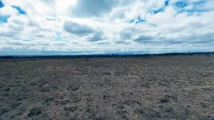 Quarter Acre Plots for Sale in Oloika,Kitengela