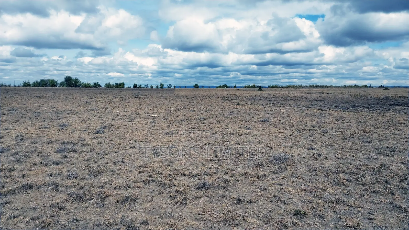 Quarter Acre Plots for Sale in Oloika,Kitengela
